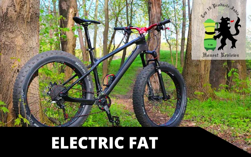 Electric fat