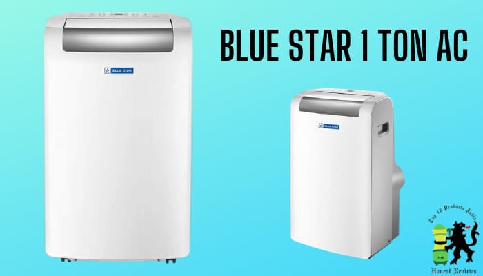 What We Liked About Blue Star