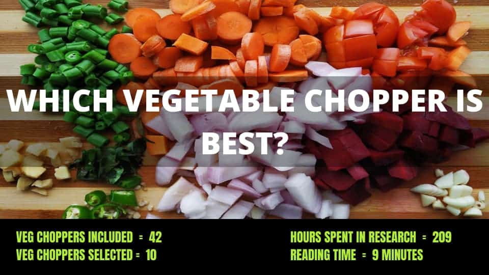 You are currently viewing 10 Best Vegetable Chopper in India 2024- Expert Reviews & Buying Guide