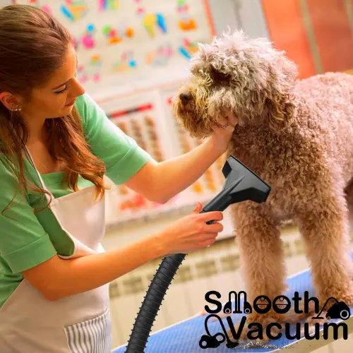 stanley vacuum (4)