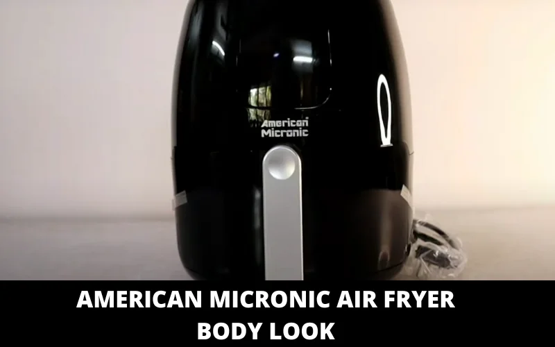 American Micronic Air Fryer Body look