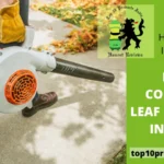 Best Cordless Leaf Blowers In India