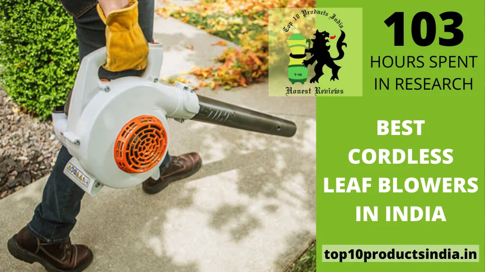 Read more about the article Best Cordless Leaf Blowers In India