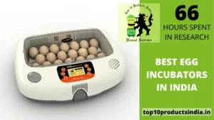 Read more about the article Top 9 Best Egg Incubators In India