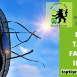 Top 9 Best Table Fans in India 2024- High Speed Table Fans