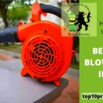 Top 8 Best Air Blowers in India (2024)