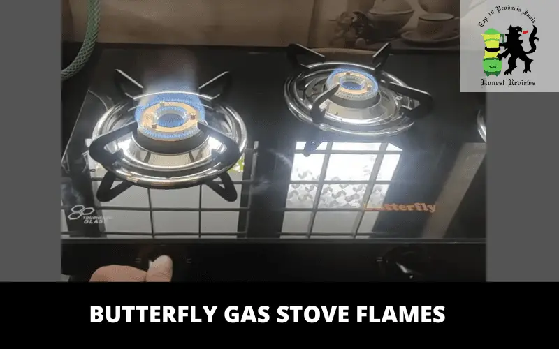 Butterfly Gas Stove flames