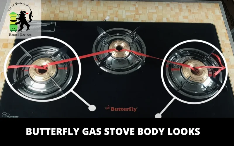 What We Loved the Most in the Butterfly Gas Stove_ 