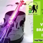 Best Violin Brands in India [Picked by Musician Experts in 2025]