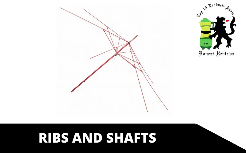 Ribs and shafts (1)