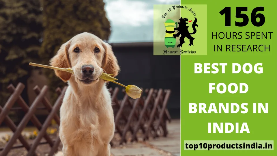 Read more about the article Top 26 Best Dog Food Brands in India & Buyer’s Guide