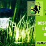 Best Solar Lights in India With Maximum Brightness