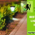 Best Solar Lights in India For Home And Garden Use (2025 Guide)