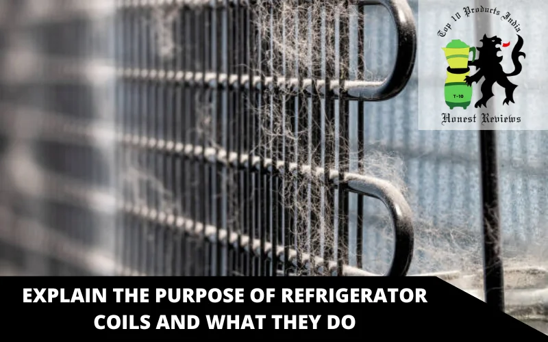 Explain the purpose of refrigerator coils and what they do