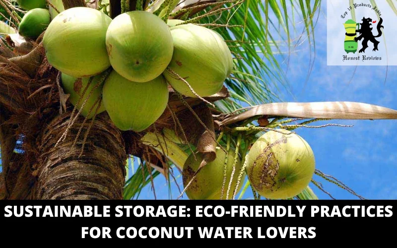 Sustainable Storage EcoFriendly Practices for Coconut Water Lovers