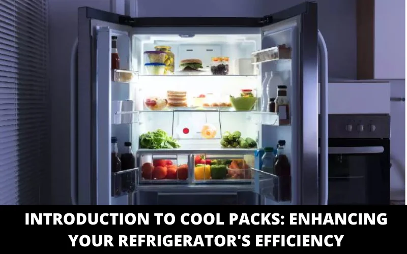 Introduction to Cool Packs_ Enhancing Your Refrigerator's Efficiency
