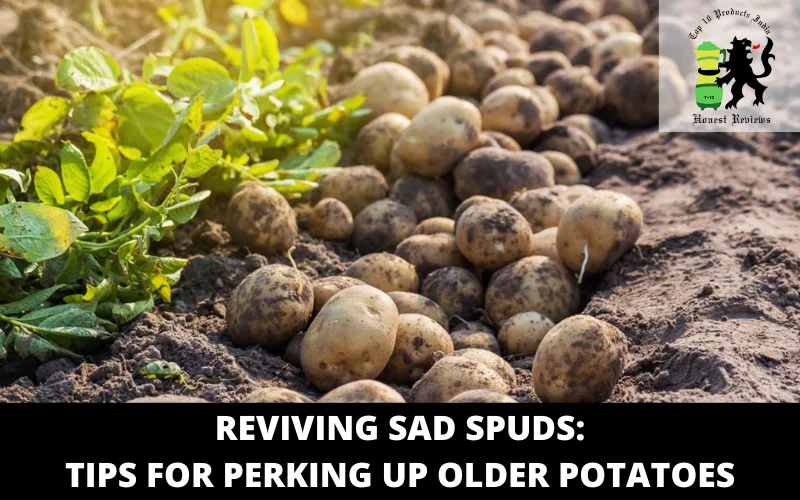 Reviving Sad Spuds_ Tips for Perking Up Older Potatoes